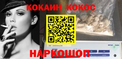 индика Кудымкар