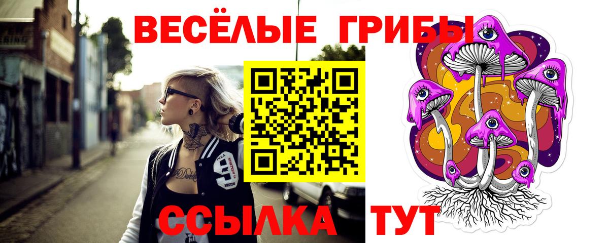 Псилоцибиновые грибы Cubensis Наро-Фоминск