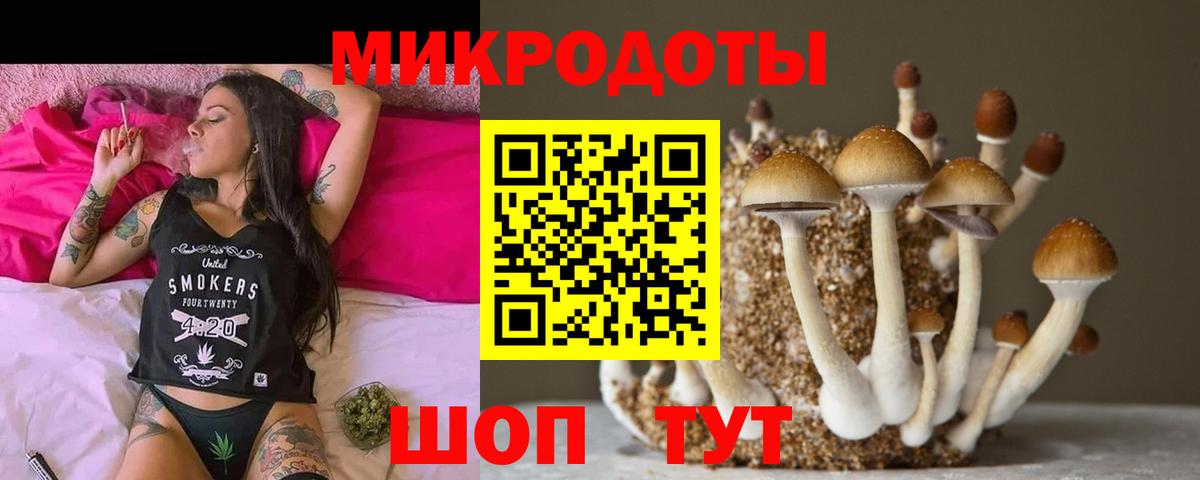 Наро-Фоминск  Галлюциногенные грибы Magic Shrooms  Вход с VPN 